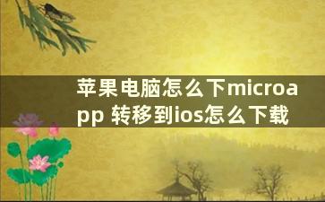 苹果电脑怎么下microapp 转移到ios怎么下载